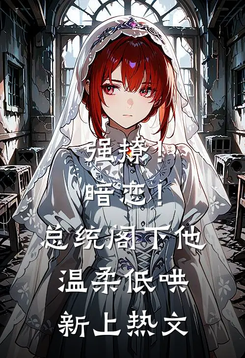 强撩！暗恋！总统阁下他温柔低哄新上热文