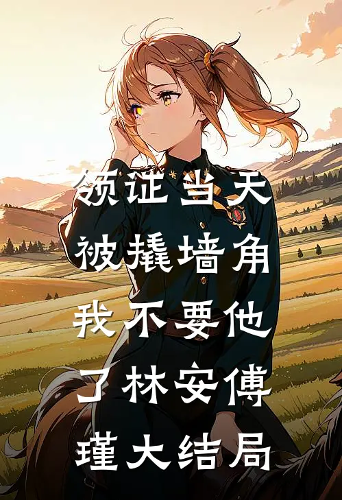 领证当天被撬墙角，我不要他了林安傅瑾大结局