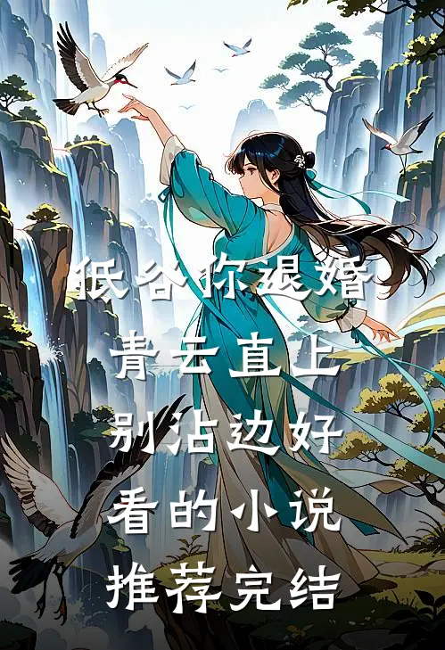 低谷你退婚，青云直上别沾边好看的小说推荐完结