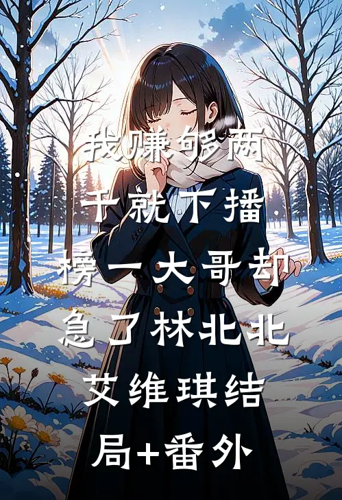 我赚够两千就下播，榜一大哥却急了林北北艾维琪结局+番外