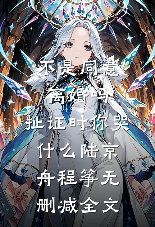 不是同意离婚吗，扯证时你哭什么陆京舟程筝无删减全文