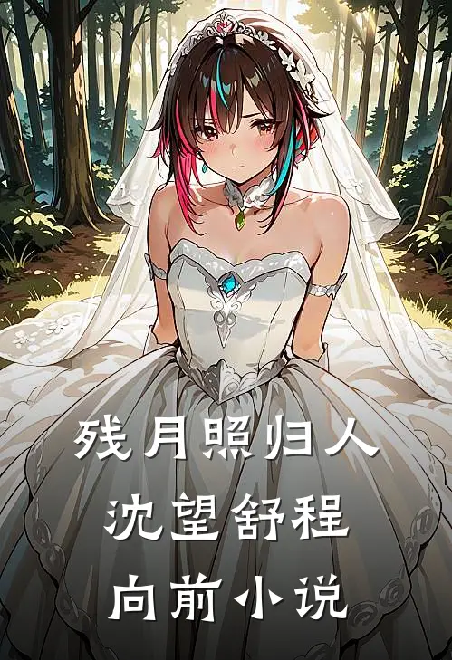 残月照归人沈望舒程向前小说