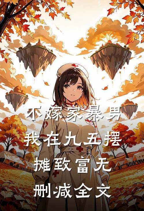 不嫁家暴男，我在九五摆摊致富无删减全文