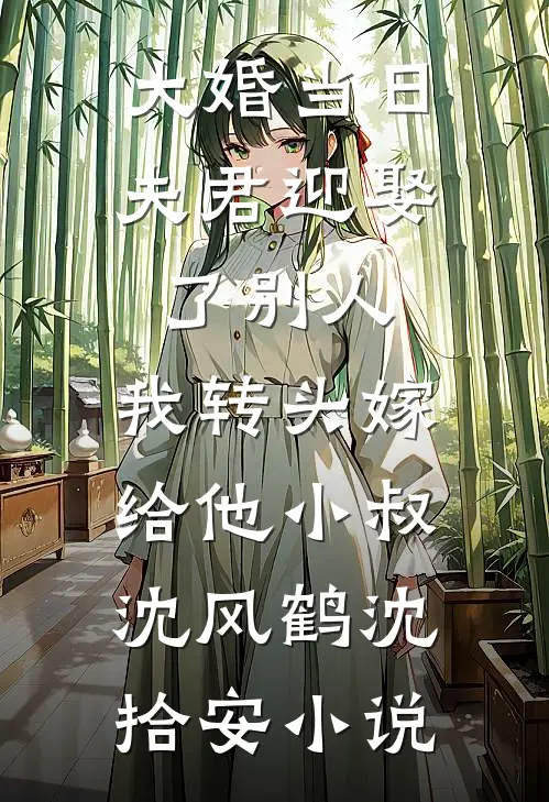 大婚当日夫君迎娶了别人，我转头嫁给他小叔沈风鹤沈拾安小说