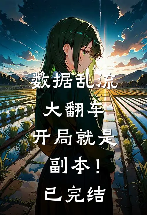 数据乱流大翻车，开局就是副本！已完结