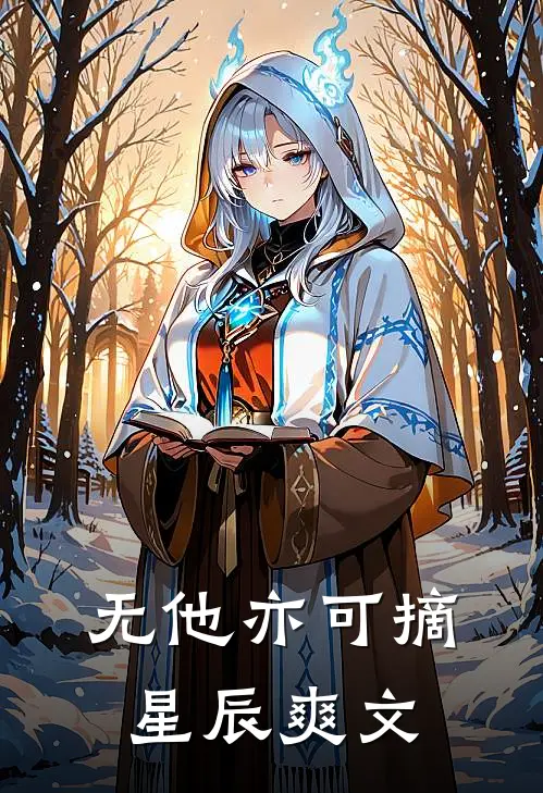 无他亦可摘星辰爽文