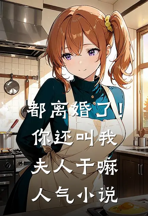 都离婚了！你还叫我夫人干嘛人气小说