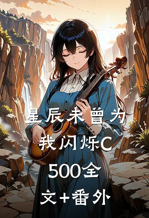 星辰未曾为我闪烁C500全文+番外