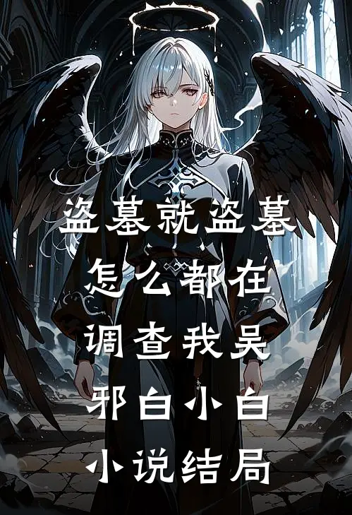 盗墓就盗墓，怎么都在调查我吴邪白小白小说结局