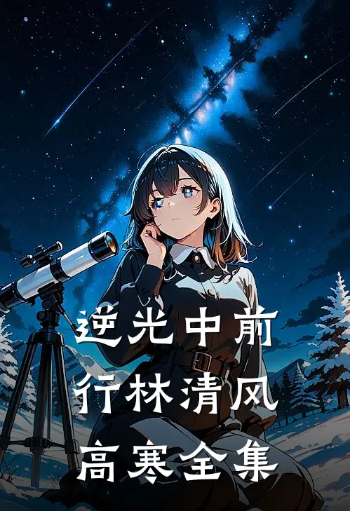 逆光中前行林清风高寒全集