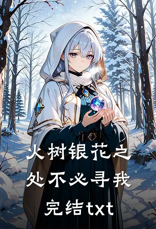 火树银花之处不必寻我完结txt