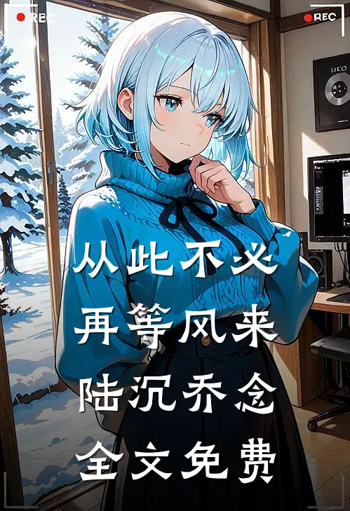 从此不必再等风来陆沉乔念全文免费
