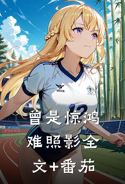 曾是惊鸿难照影全文+番茄