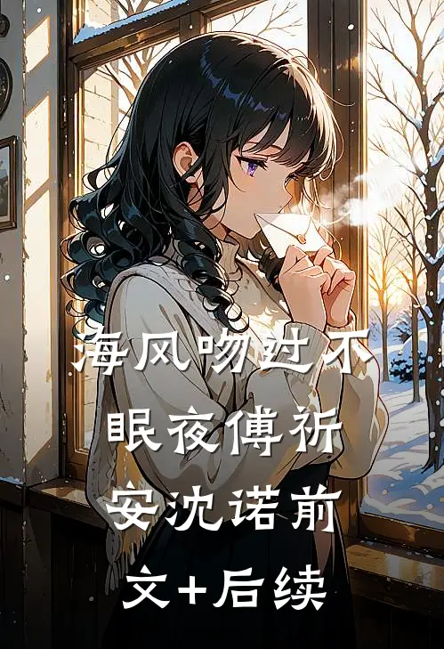 海风吻过不眠夜傅祈安沈诺前文+后续