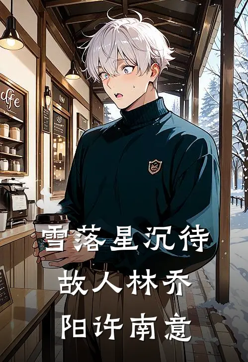 雪落星沉待故人林乔阳许南意