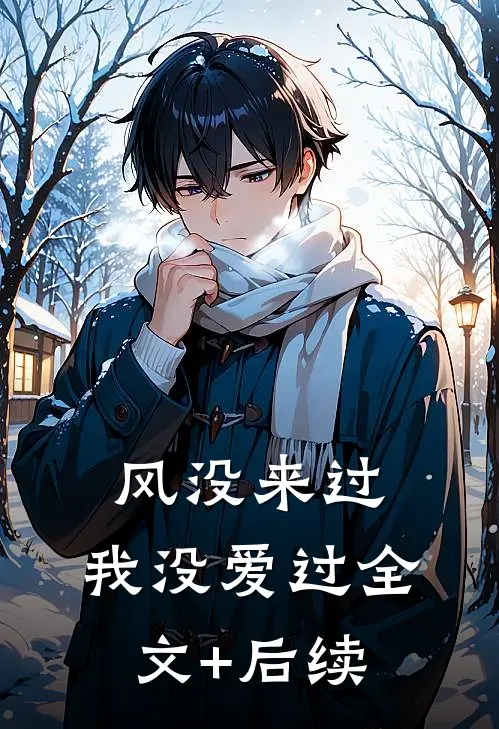 风没来过，我没爱过全文+后续