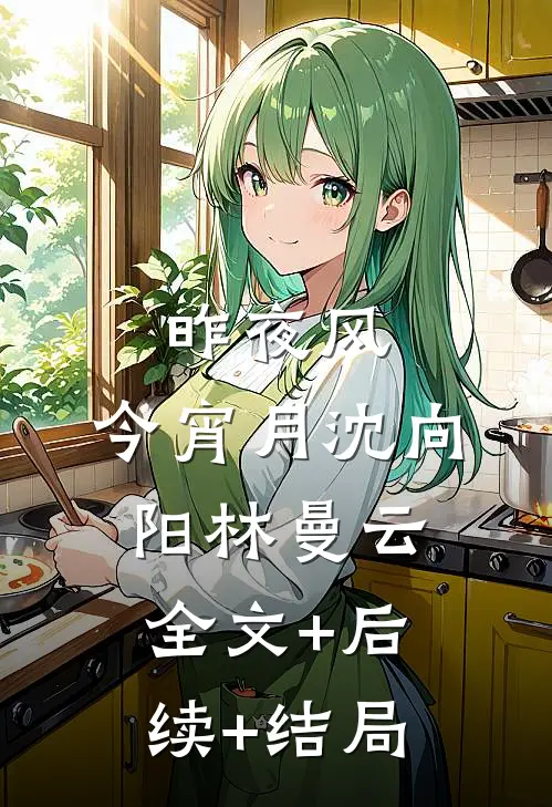 昨夜风，今宵月沈向阳林曼云:全文+后续+结局