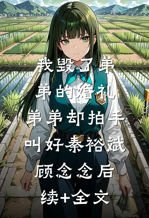 我毁了弟弟的婚礼，弟弟却拍手叫好秦裕斌顾念念后续+全文