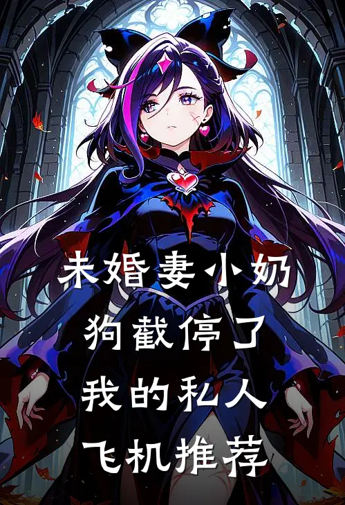 未婚妻小奶狗截停了我的私人飞机推荐