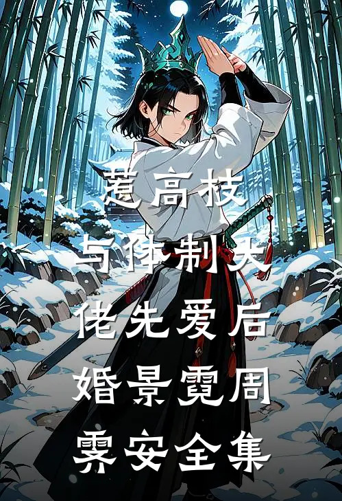 惹高枝：与体制大佬先爱后婚景霓周霁安全集