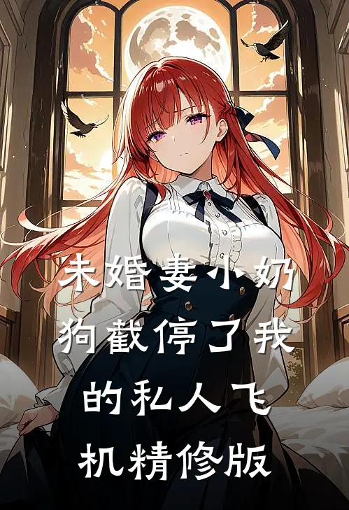 未婚妻小奶狗截停了我的私人飞机精修版