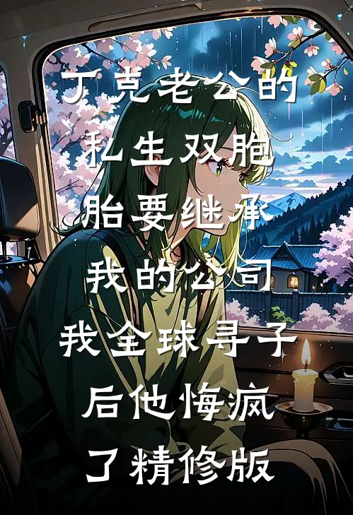 丁克老公的私生双胞胎要继承我的公司，我全球寻子后他悔疯了精修版