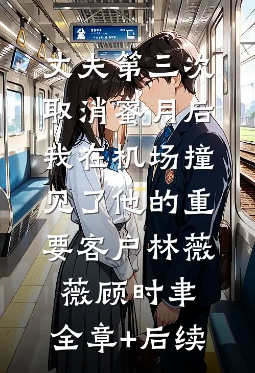 丈夫第三次取消蜜月后，我在机场撞见了他的重要客户林薇薇顾时聿:全章+后续