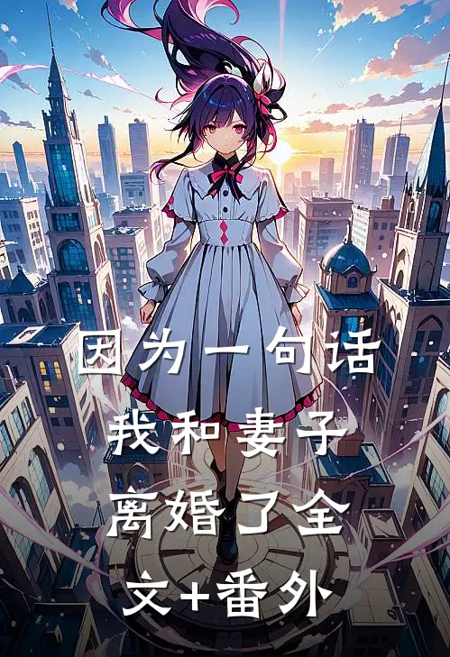 因为一句话，我和妻子离婚了全文+番外